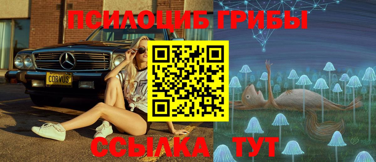 Галлюциногенные грибы ЛСД Шуя